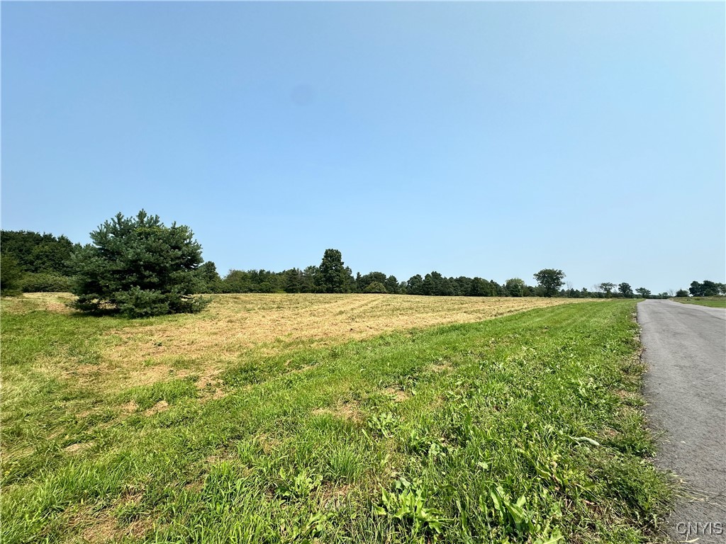 Lot #8 Rt-12, Clayton, New York image 4