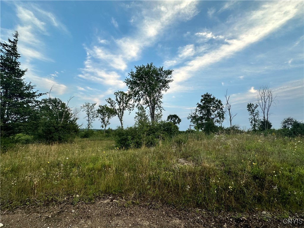 Lot #8 Rt-12, Clayton, New York image 18