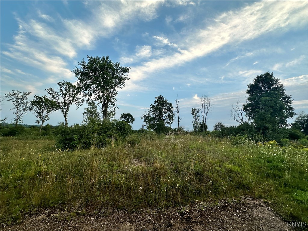 Lot #8 Rt-12, Clayton, New York image 17