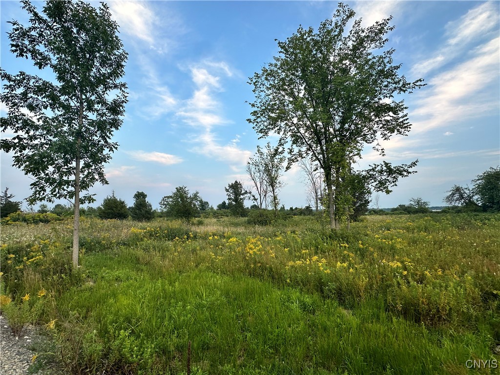 Lot #8 Rt-12, Clayton, New York image 15