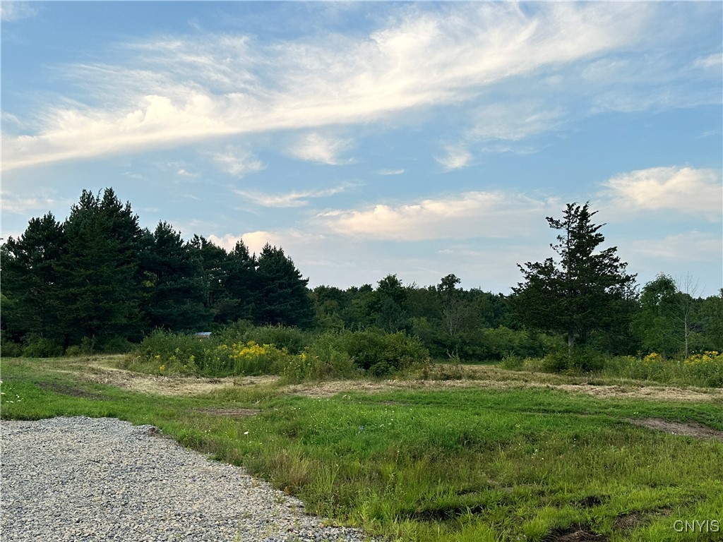 Lot #8 Rt-12, Clayton, New York image 28