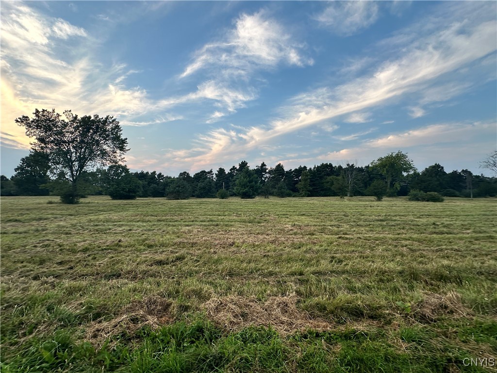 Lot #8 Rt-12, Clayton, New York image 13