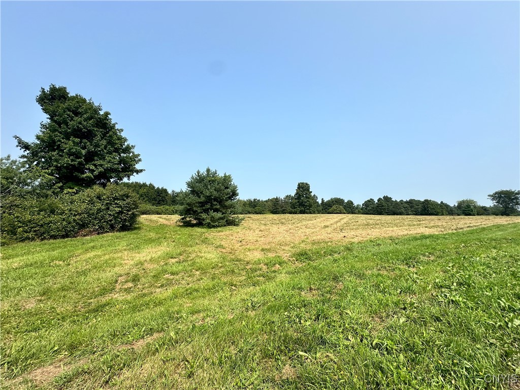 Lot #8 Rt-12, Clayton, New York image 3