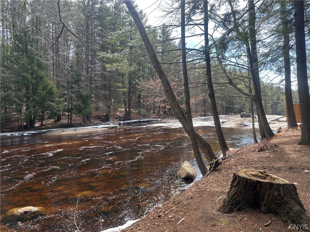 6986 White Tail Drive