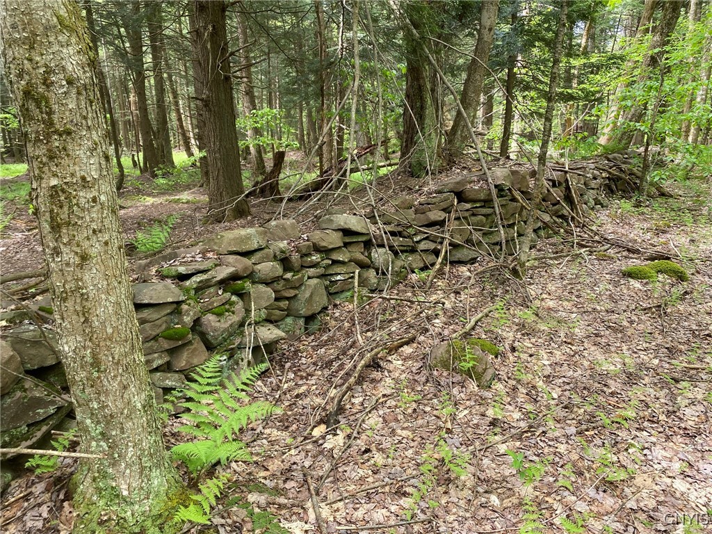 White Road, Parish, New York image 16