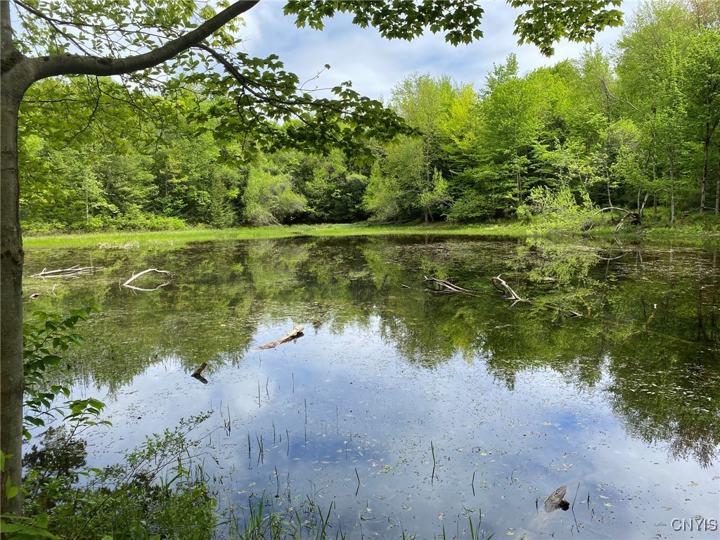 White Road, Parish, New York image 1