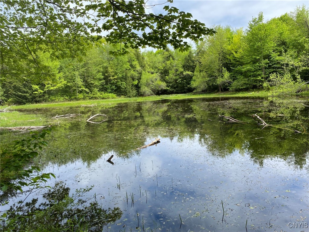 White Road, Parish, New York image 25