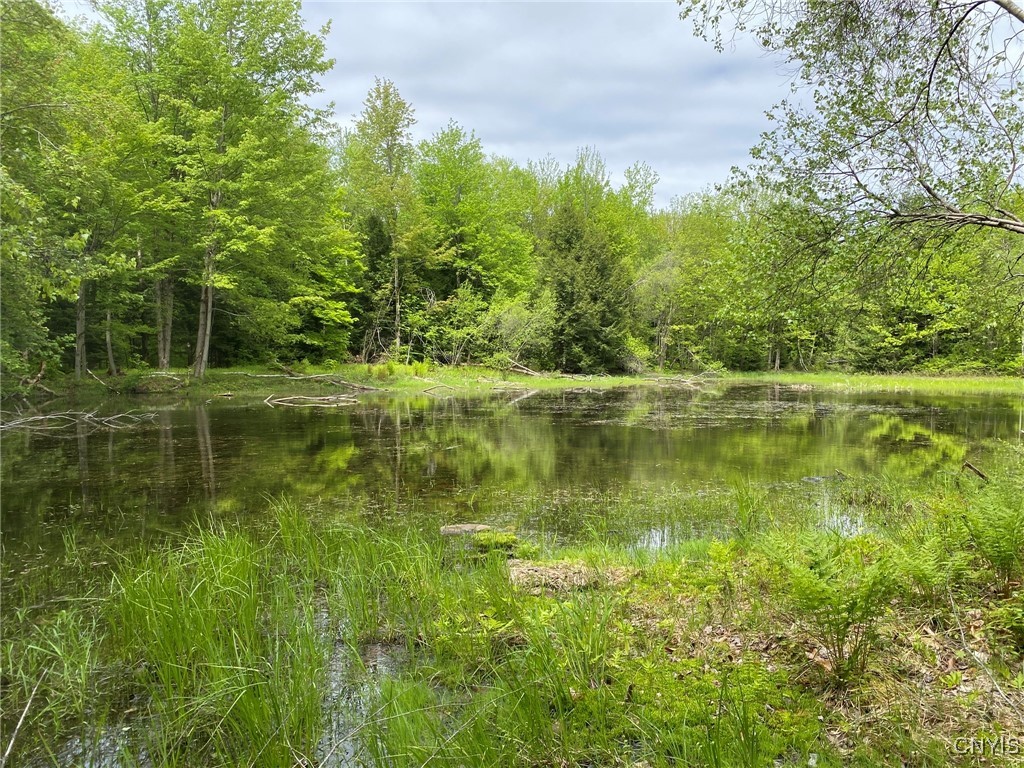 White Road, Parish, New York image 20