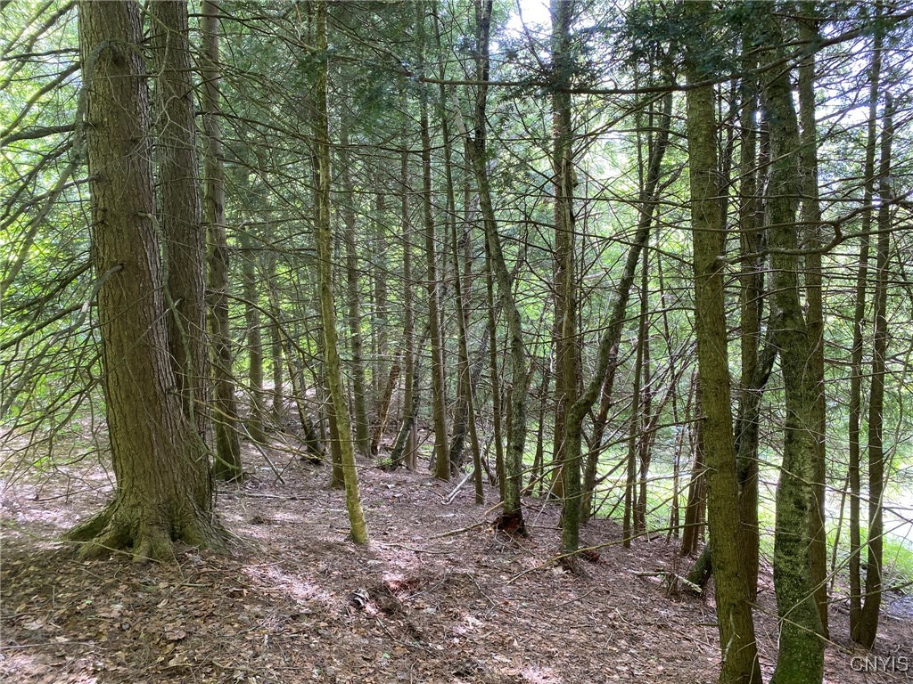 White Road, Parish, New York image 2