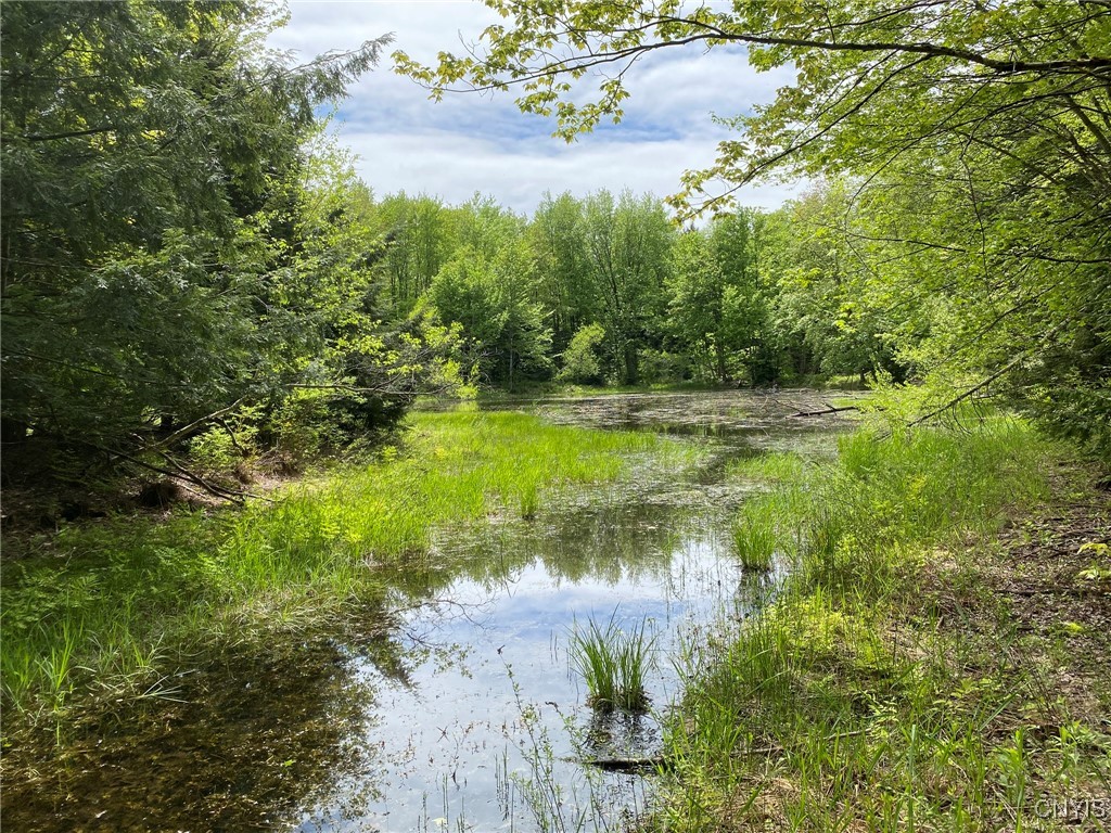 White Road, Parish, New York image 12
