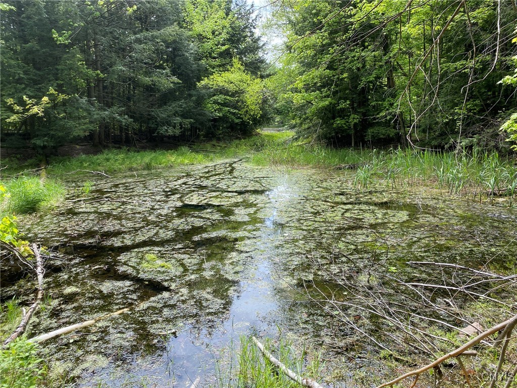 White Road, Parish, New York image 5