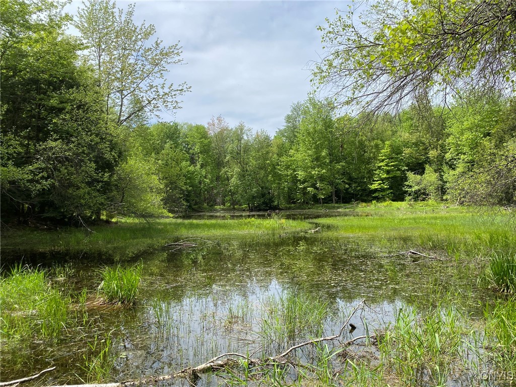 White Road, Parish, New York image 3