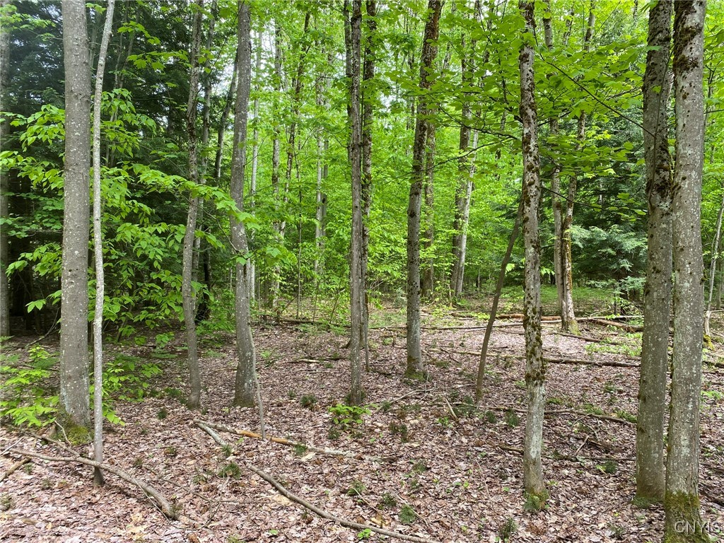 White Road, Parish, New York image 21