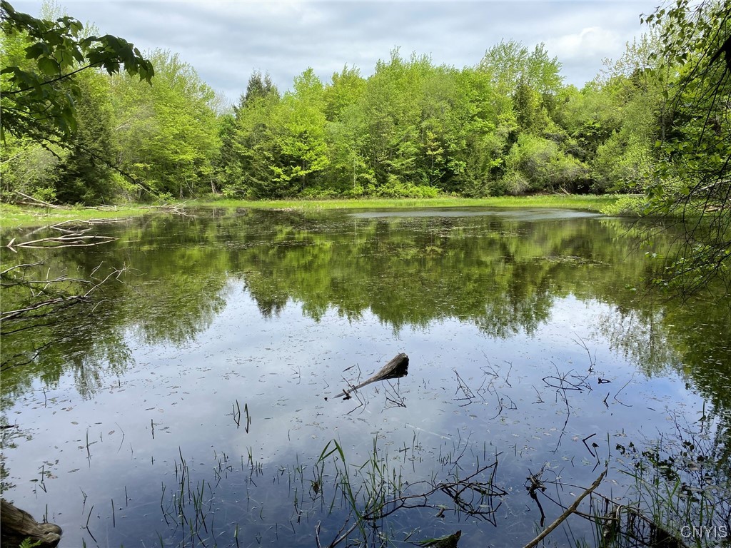 White Road, Parish, New York image 17