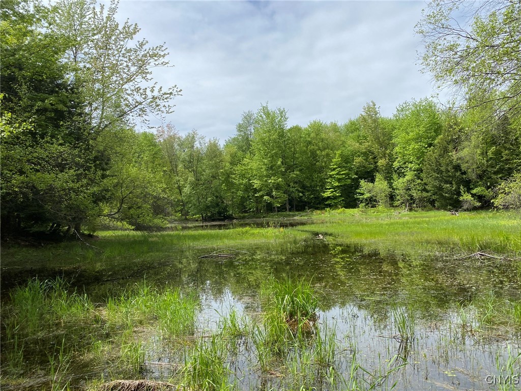 White Road, Parish, New York image 10