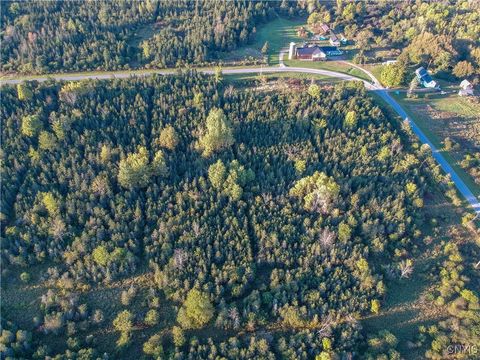 Tiny photo for Tubolino Road, Orleans, NY 13656 (MLS # S1659805)