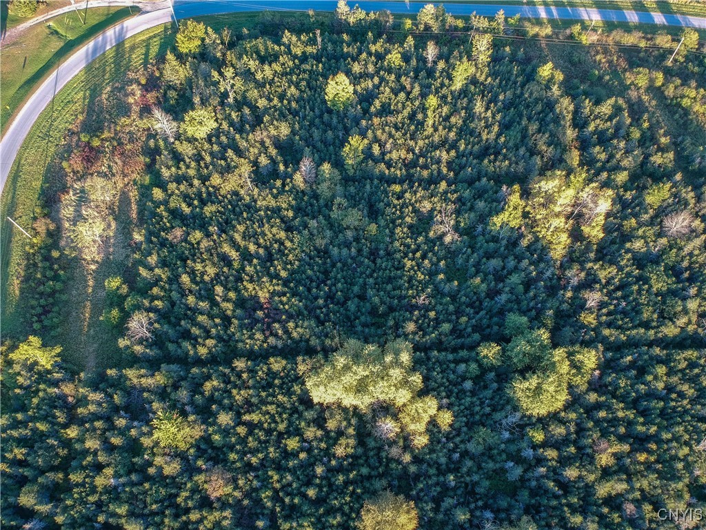 Tubolino Road
