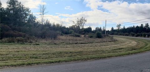 Photo of Tubolino Road, Orleans, NY 13656 (MLS # S1659805)
