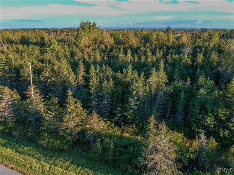 Tiny photo for Tubolino Road, Orleans, NY 13656 (MLS # S1659805)