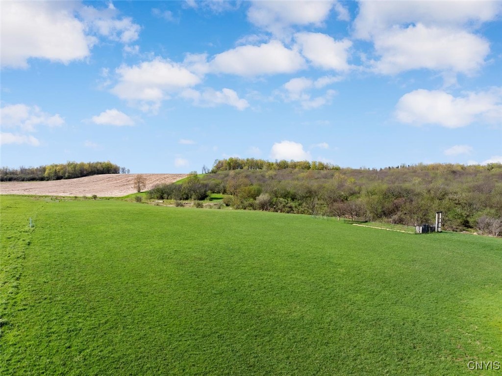 3641 Snowden Hill Road, New Hartford, New York image 45