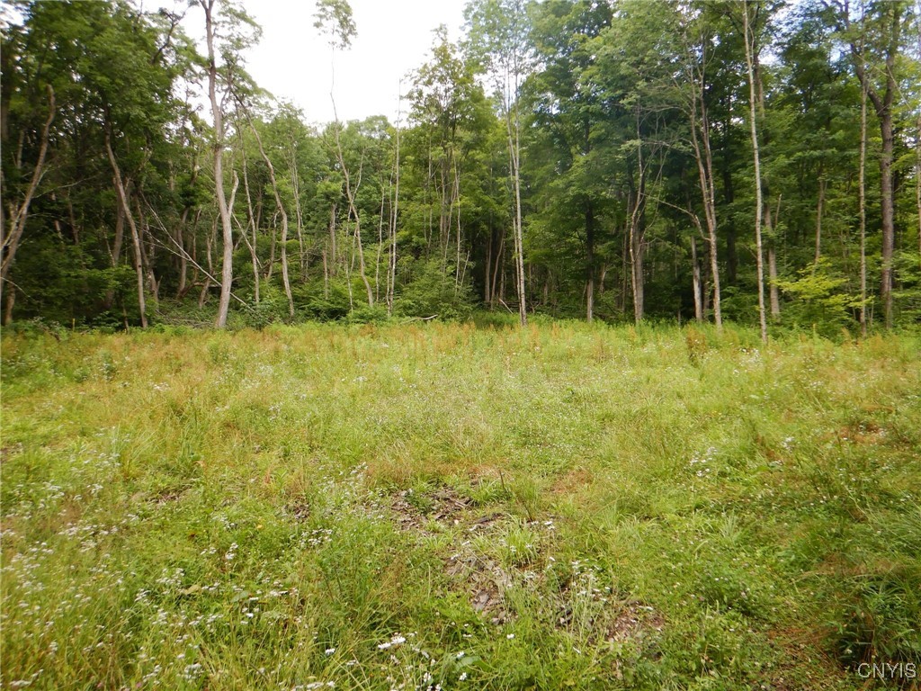 Chaffee Creek Road