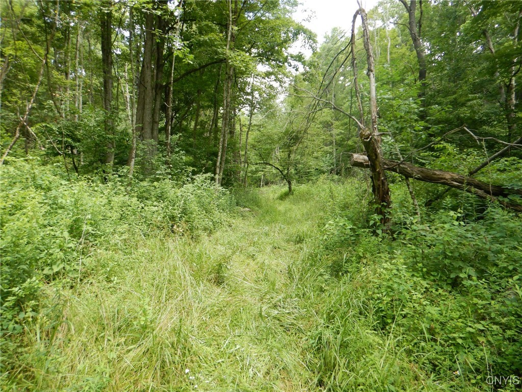 Chaffee Creek Road