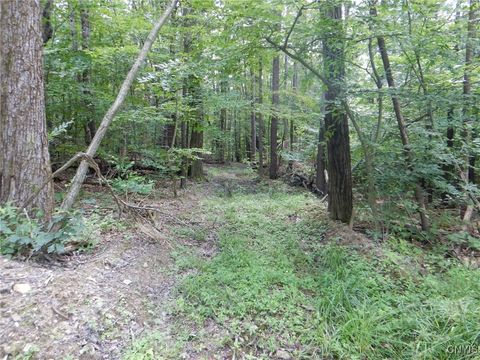 Vacant Land For Sale - Chaffee Creek Road<br/> Newfield, NY 14867