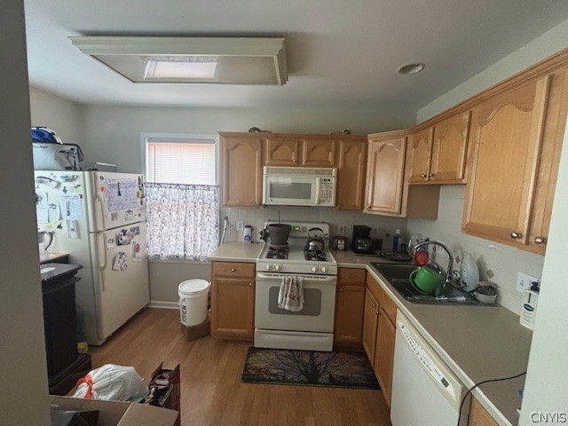 1012 Cadillac Street