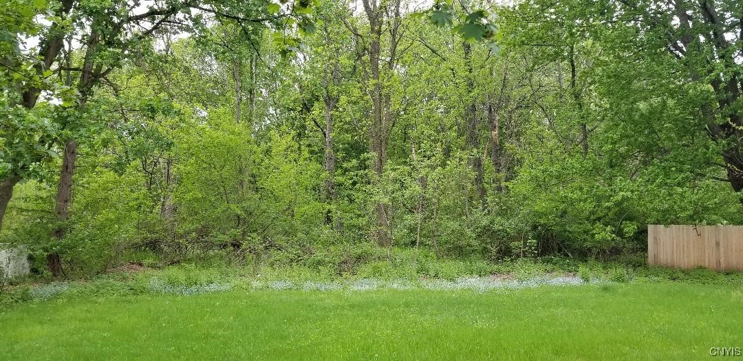 5986 Smith Rd Road, Cicero, New York image 16