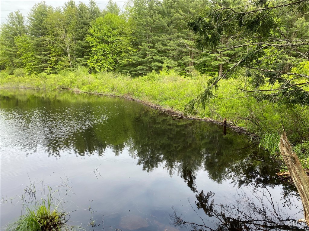 White Road, Parish, New York image 3