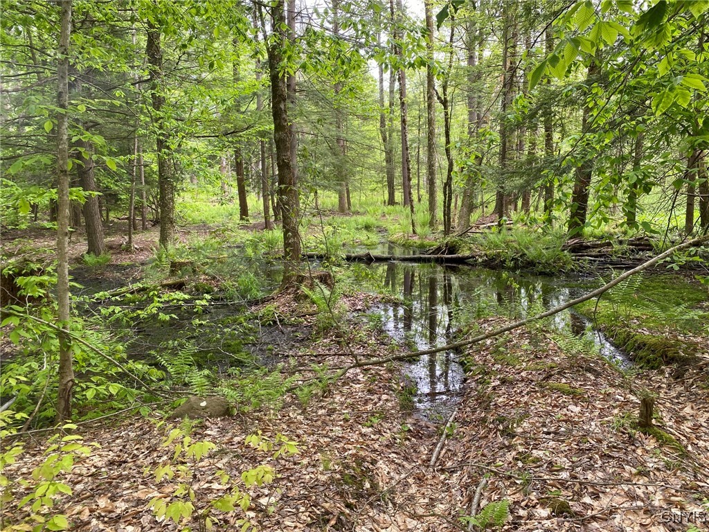 White Road, Parish, New York image 15