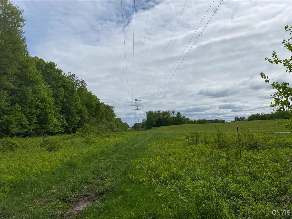 White Road, Parish, New York image 28
