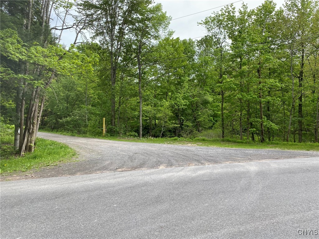 White Road, Parish, New York image 20