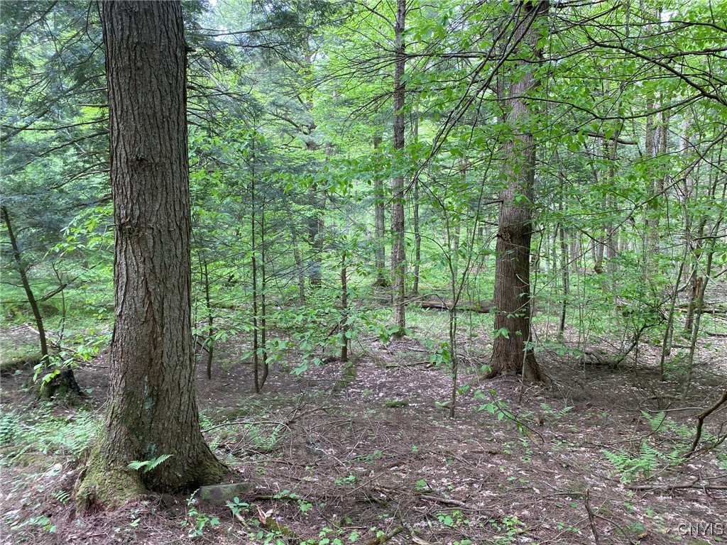 White Road, Parish, New York image 16