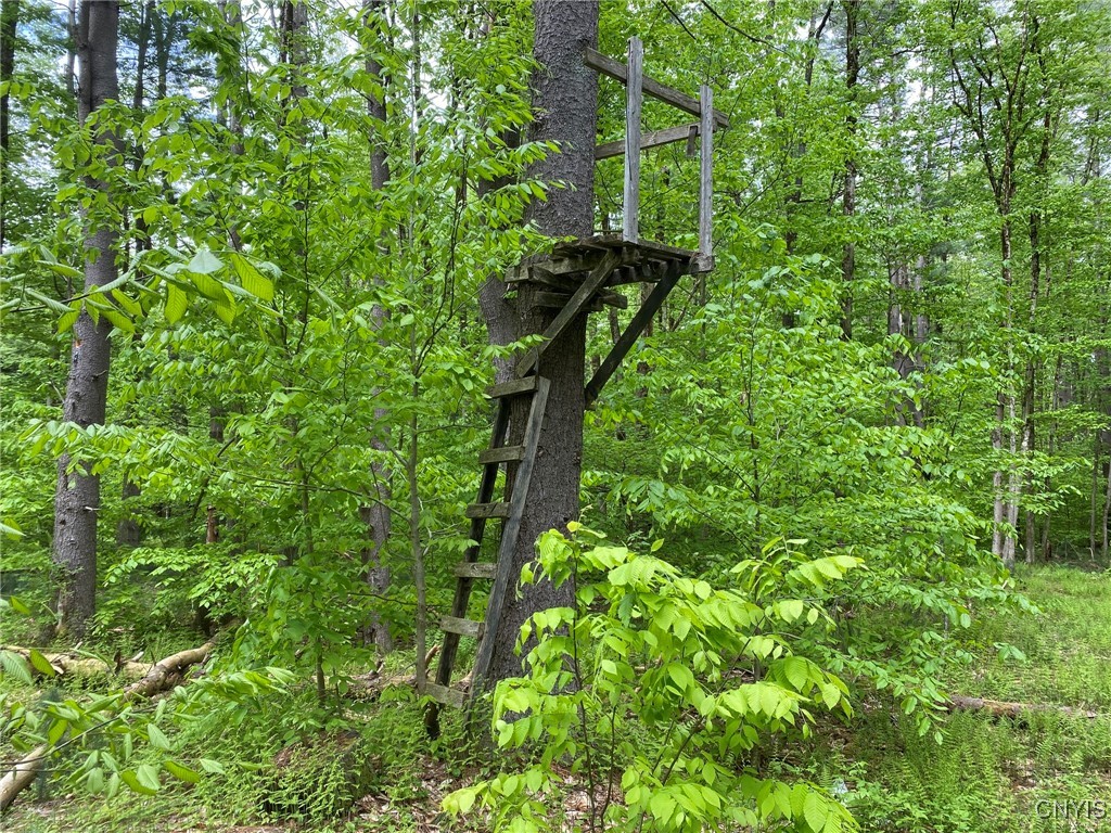 White Road, Parish, New York image 39