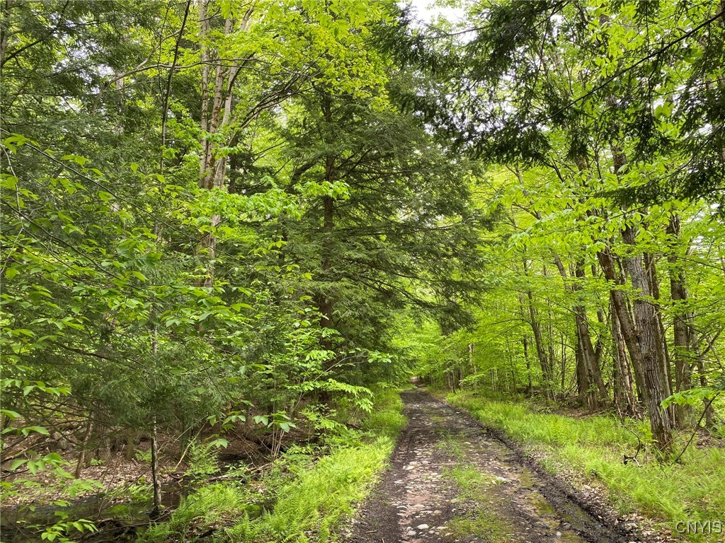 White Road, Parish, New York image 23