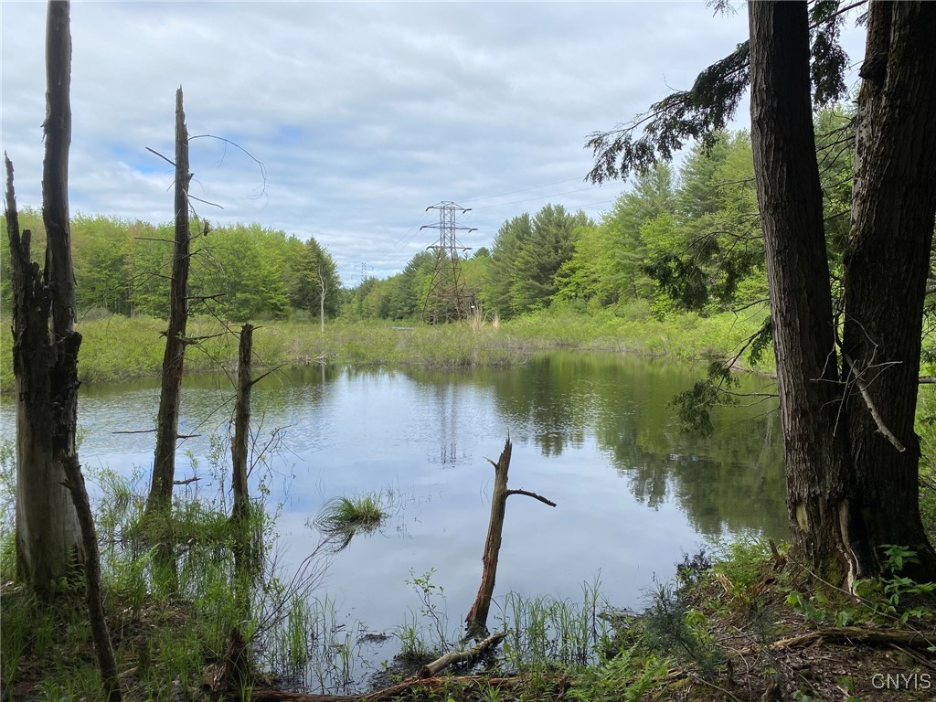 White Road, Parish, New York image 1