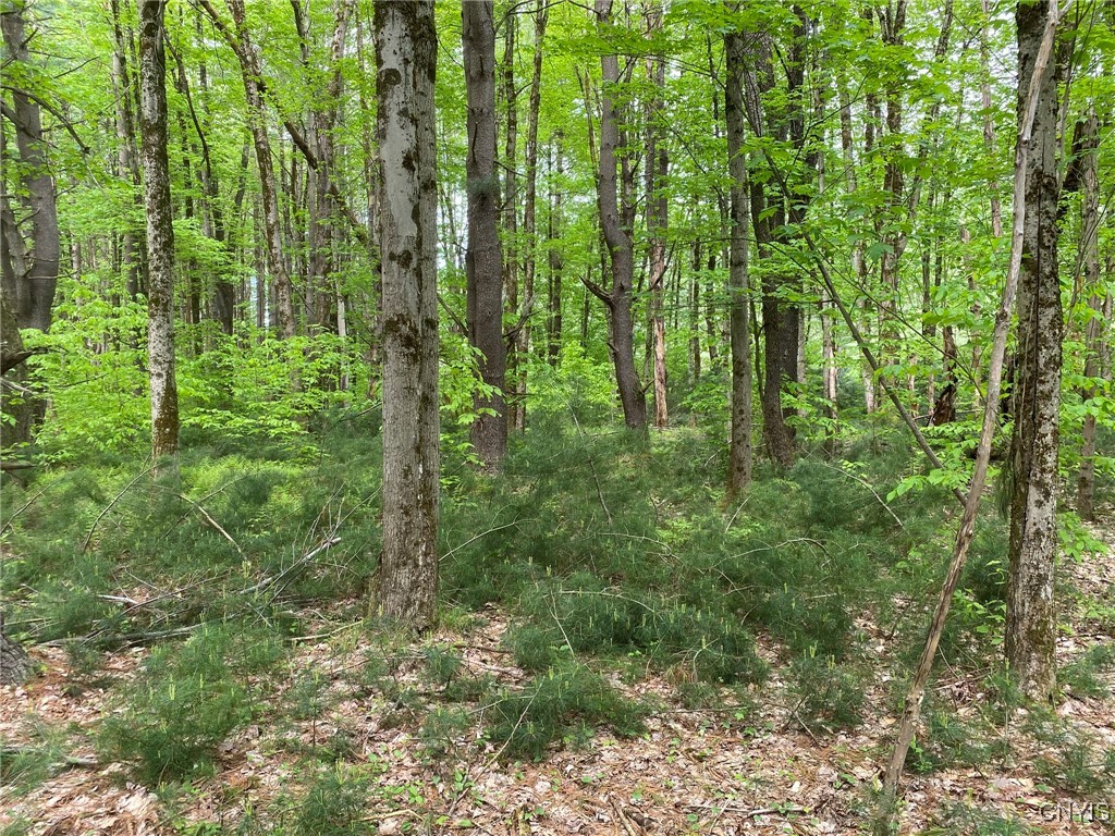 White Road, Parish, New York image 32