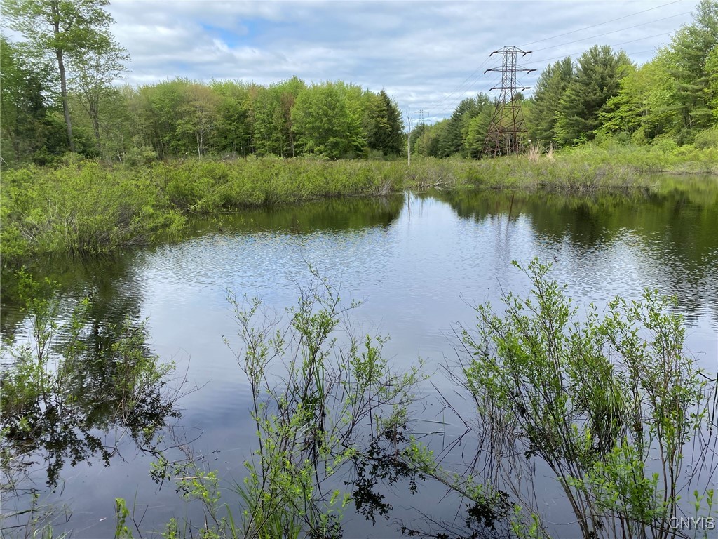 White Road, Parish, New York image 42