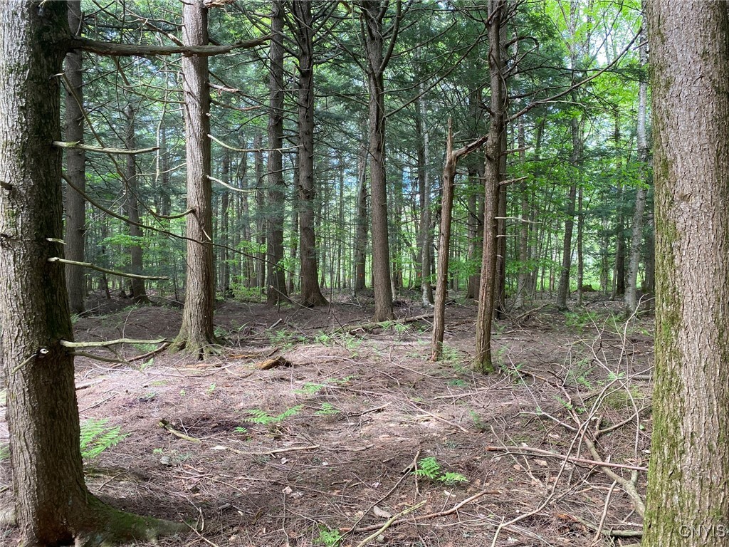 White Road, Parish, New York image 5