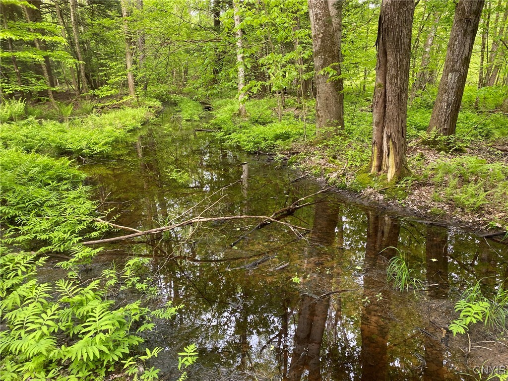 White Road, Parish, New York image 9