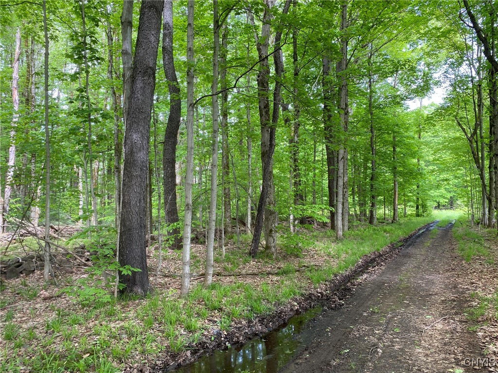 White Road, Parish, New York image 29