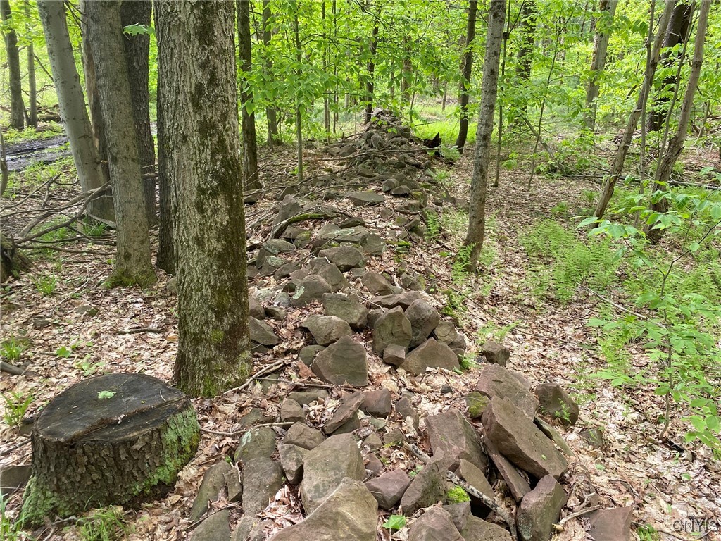 White Road, Parish, New York image 30