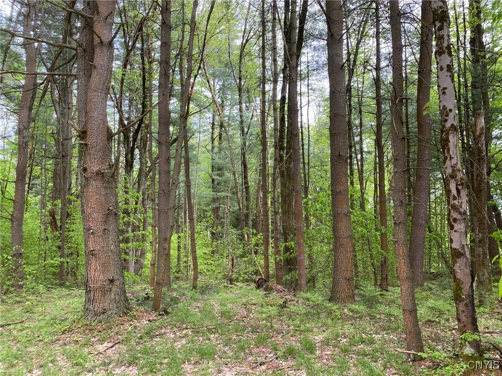 White Road, Parish, New York image 36