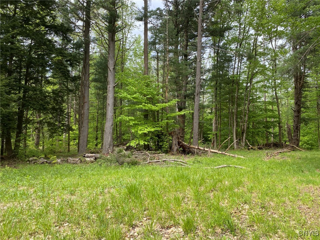 White Road, Parish, New York image 25