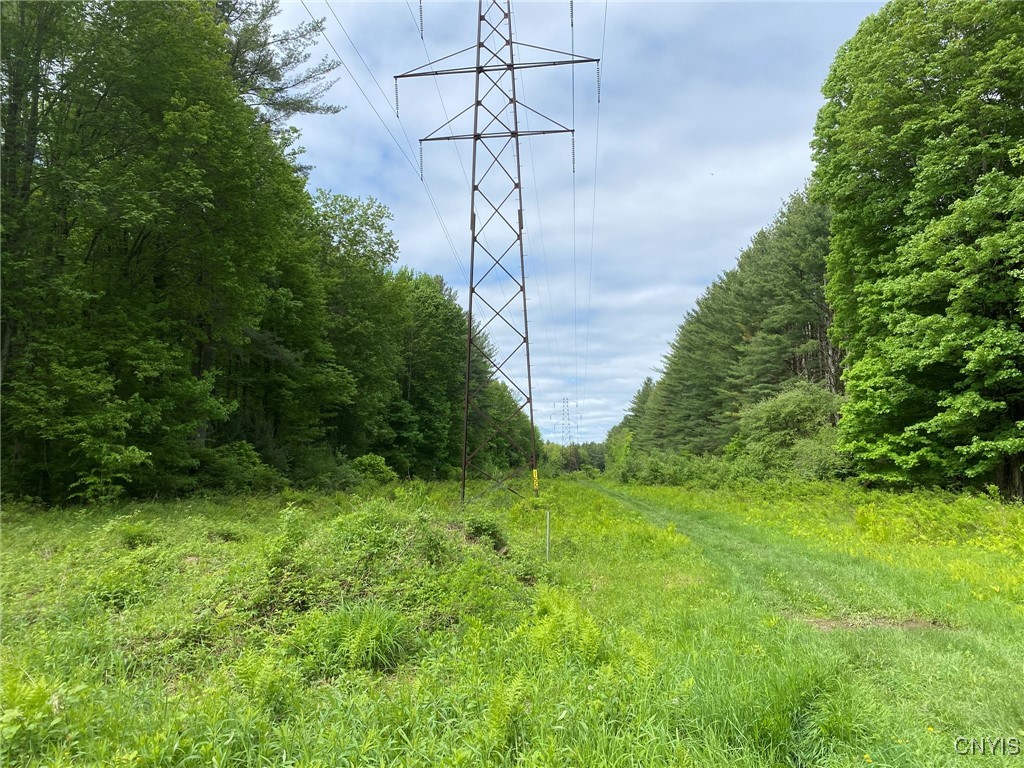 White Road, Parish, New York image 26