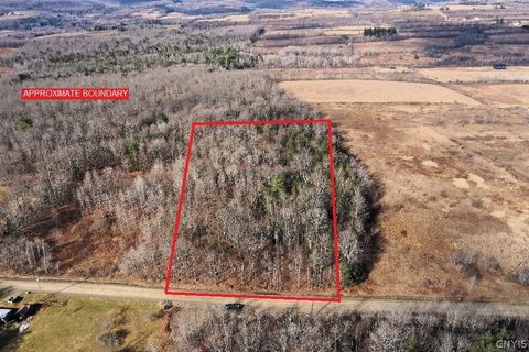 Vacant Land For Sale - South Road<br/> Rathbone, NY 14801