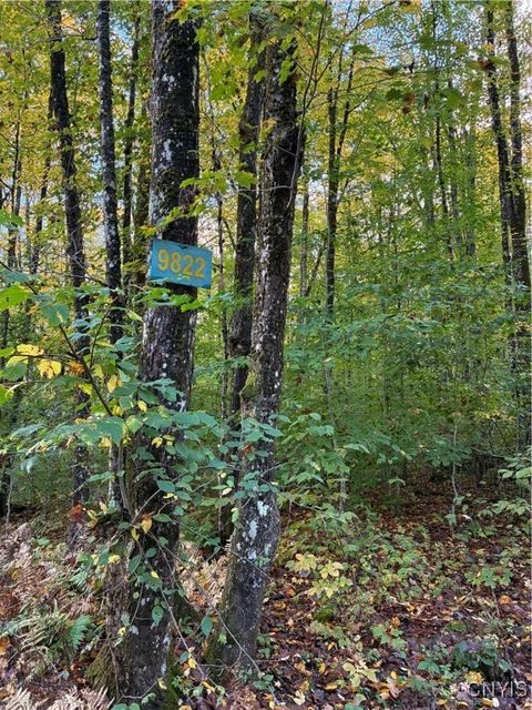 Vacant Land For Sale - 9822 Culver Brook Rd Rd<br/> Boonville, NY 13309