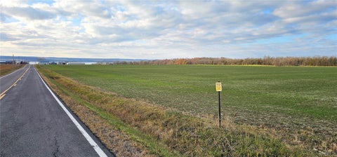 Photo for Kennedy Road