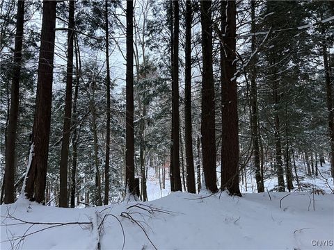 Vacant Land For Sale - Center Street<br/> Oswego County, Constantia, NY 13042